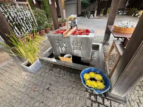 川越八幡宮の{uncategorized: "未分類", other: "その他", undefined: "問題あり", building: "その他建物", grave: "お墓", sacred_gate: "鳥居", guardian: "狛犬", statue: "像", buddha: "仏像", history: "歴史", nature: "自然", garden: "庭園", animal: "動物", pagoda: "塔", temizu: "手水舎", mountain_gate: "山門・神門", sanctuary: "本殿・本堂", subordinate: "末社・摂社", art: "芸術", scenery: "景色", jizo: "地蔵", ema: "絵馬", goshuin: "御朱印", omikuji: "おみくじ", items: "授与品その他", amulet: "お守り", goshuincho: "御朱印帳", eats: "食事", festival: "お祭り", votive_dance: "神楽", shichigosan: "七五三参", wedding: "結婚式", experience: "体験その他", initially: "初詣", around: "周辺", anti_infection: "感染症対策"}