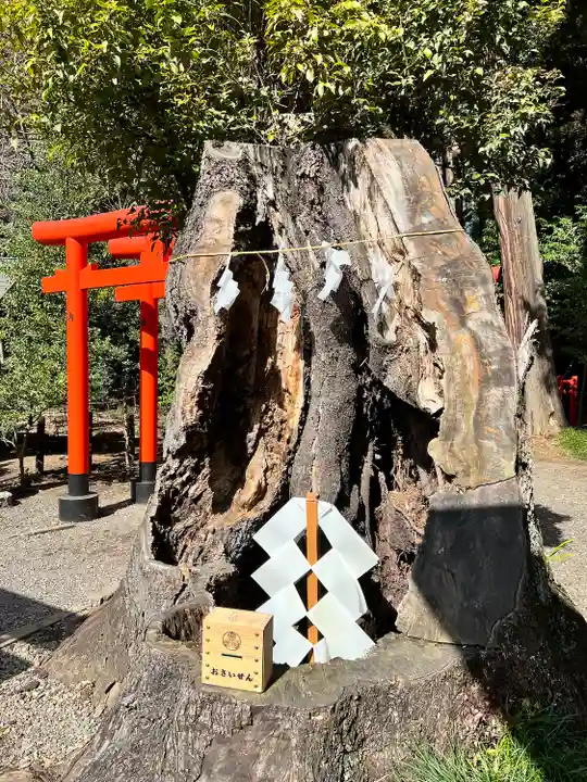 常磐神社(茨城県)