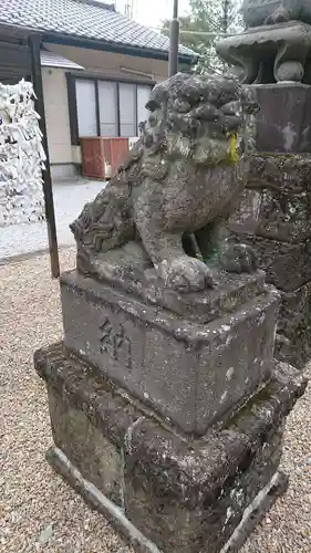 鷲宮神社の狛犬