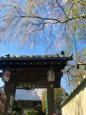 善福寺の本殿・本堂