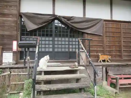 光珠院(埼玉県)