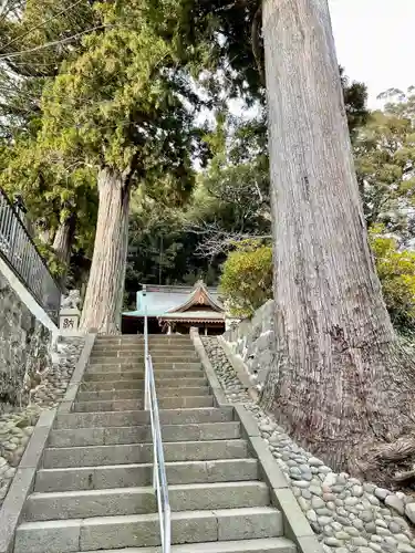 日枝神社の建物その他