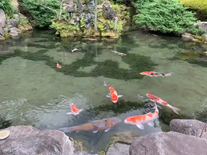 滝沢寺(群馬県)