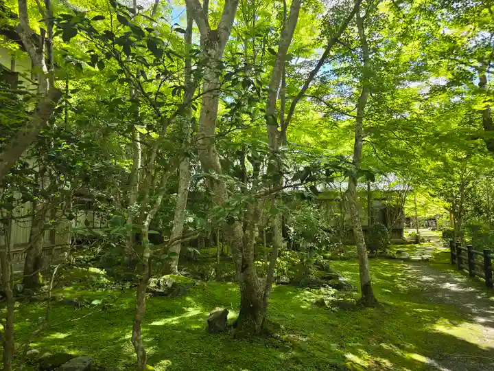 西明寺(京都府)
