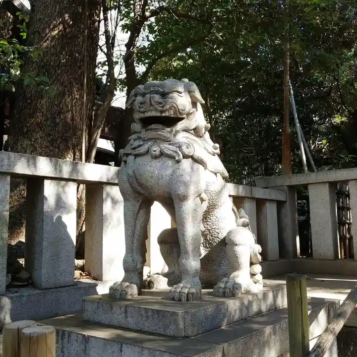 渋谷氷川神社の狛犬