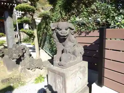 太田杉山神社・横濱水天宮の狛犬