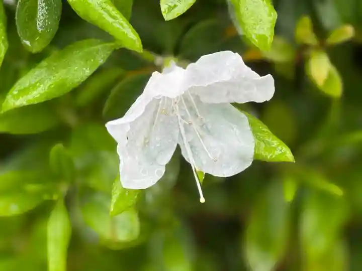 西方山極楽寺(岐阜県)
