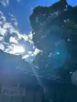 大甕神社(茨城県)