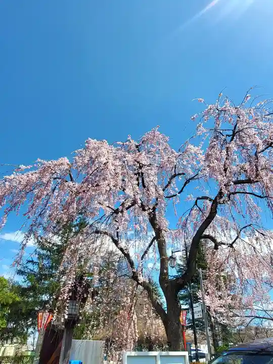 開成山大神宮(福島県)