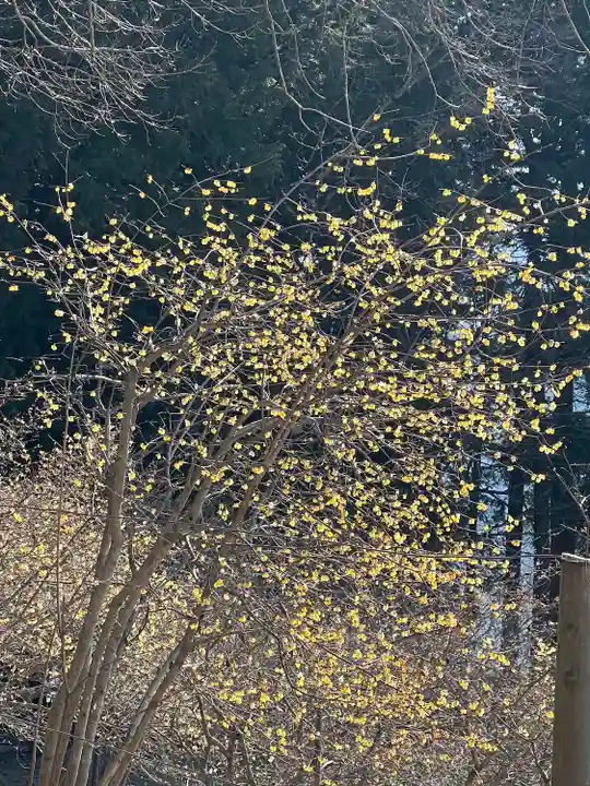 宝登山神社奥宮(埼玉県)
