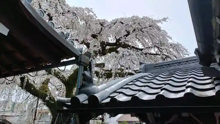 円明寺の{uncategorized: "未分類", other: "その他", undefined: "問題あり", building: "その他建物", grave: "お墓", sacred_gate: "鳥居", guardian: "狛犬", statue: "像", buddha: "仏像", history: "歴史", nature: "自然", garden: "庭園", animal: "動物", pagoda: "塔", temizu: "手水舎", mountain_gate: "山門・神門", sanctuary: "本殿・本堂", subordinate: "末社・摂社", art: "芸術", scenery: "景色", jizo: "地蔵", ema: "絵馬", goshuin: "御朱印", omikuji: "おみくじ", items: "授与品その他", amulet: "お守り", goshuincho: "御朱印帳", eats: "食事", festival: "お祭り", votive_dance: "神楽", shichigosan: "七五三参", wedding: "結婚式", experience: "体験その他", initially: "初詣", around: "周辺", anti_infection: "感染症対策"}