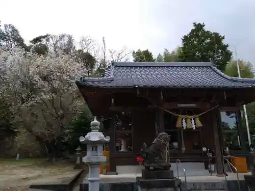 河内阿蘇神社の本殿・本堂