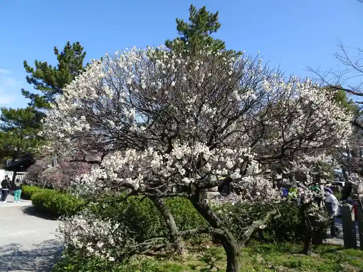 道明寺天満宮の自然