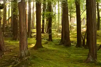 貞祥寺(長野県)