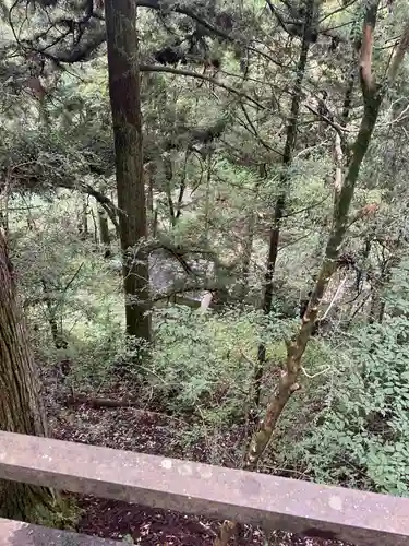 九頭龍神社(東京都)