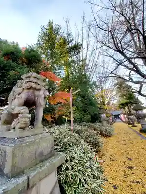 神炊館神社 ⁂奥州須賀川総鎮守⁂の狛犬