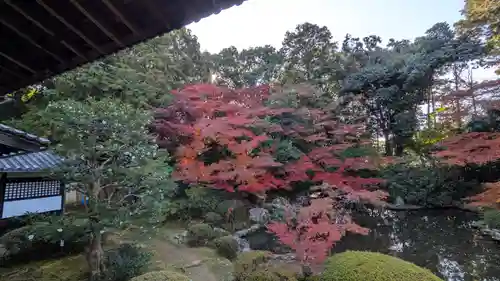 隨心院（随心院）(京都府)