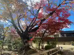 墨染寺（桜寺）(京都府)