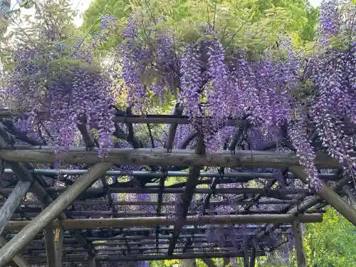亀戸天神社の{uncategorized: "未分類", other: "その他", undefined: "問題あり", building: "その他建物", grave: "お墓", sacred_gate: "鳥居", guardian: "狛犬", statue: "像", buddha: "仏像", history: "歴史", nature: "自然", garden: "庭園", animal: "動物", pagoda: "塔", temizu: "手水舎", mountain_gate: "山門・神門", sanctuary: "本殿・本堂", subordinate: "末社・摂社", art: "芸術", scenery: "景色", jizo: "地蔵", ema: "絵馬", goshuin: "御朱印", omikuji: "おみくじ", items: "授与品その他", amulet: "お守り", goshuincho: "御朱印帳", eats: "食事", festival: "お祭り", votive_dance: "神楽", shichigosan: "七五三参", wedding: "結婚式", experience: "体験その他", initially: "初詣", around: "周辺", anti_infection: "感染症対策"}
