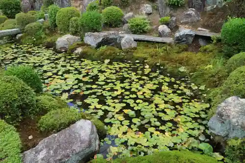 東福禅寺（東福寺）(京都府)