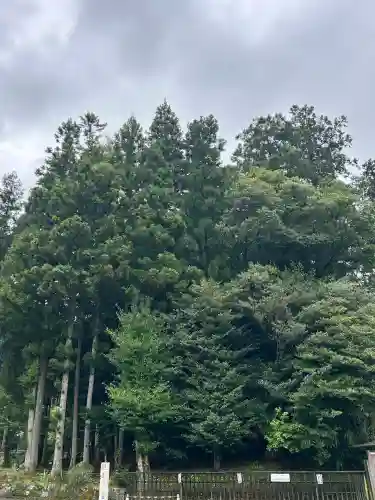 天河大辨財天社(奈良県)