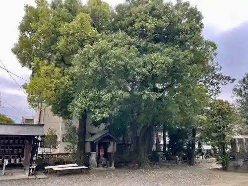 永泉寺(群馬県)