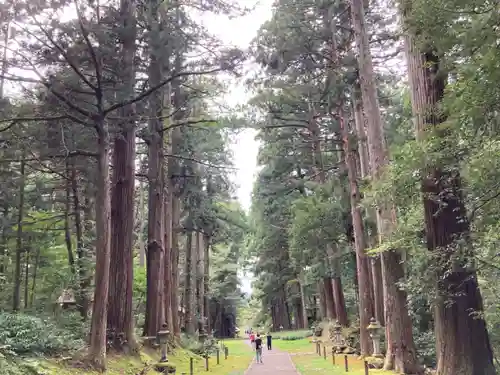平泉寺白山神社(福井県)