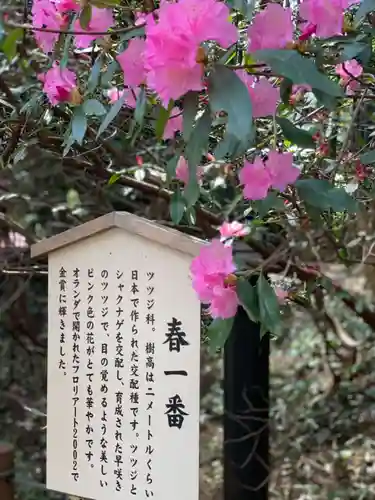 櫻木神社の歴史