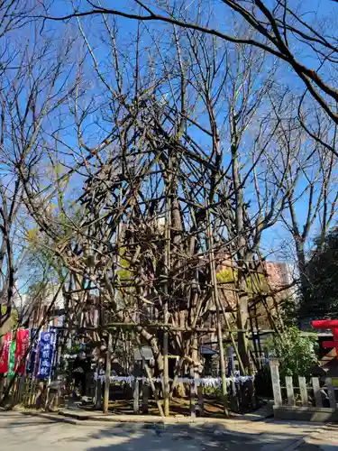 稲毛神社の自然