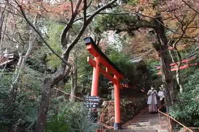柳谷観音　楊谷寺(京都府)