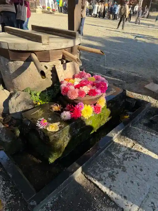 深大寺の{uncategorized: "未分類", other: "その他", undefined: "問題あり", building: "その他建物", grave: "お墓", sacred_gate: "鳥居", guardian: "狛犬", statue: "像", buddha: "仏像", history: "歴史", nature: "自然", garden: "庭園", animal: "動物", pagoda: "塔", temizu: "手水舎", mountain_gate: "山門・神門", sanctuary: "本殿・本堂", subordinate: "末社・摂社", art: "芸術", scenery: "景色", jizo: "地蔵", ema: "絵馬", goshuin: "御朱印", omikuji: "おみくじ", items: "授与品その他", amulet: "お守り", goshuincho: "御朱印帳", eats: "食事", festival: "お祭り", votive_dance: "神楽", shichigosan: "七五三参", wedding: "結婚式", experience: "体験その他", initially: "初詣", around: "周辺", anti_infection: "感染症対策"}