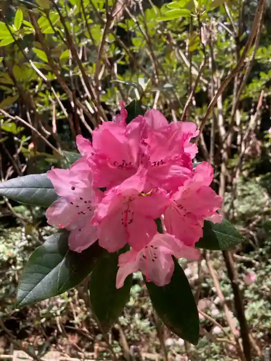 船宿寺(奈良県)