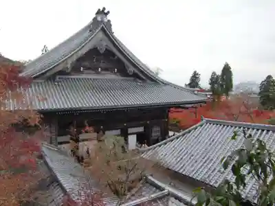 禅林寺(永観堂)(京都府)
