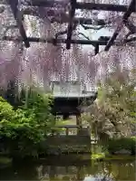西新井大師総持寺(東京都)