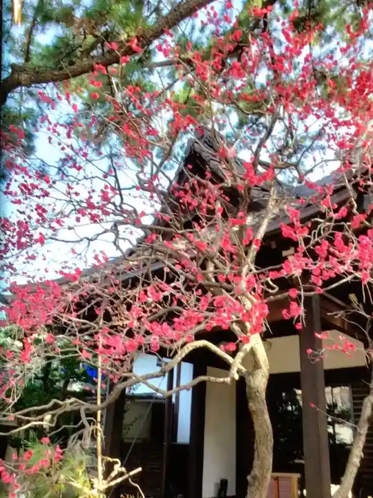 玄国寺(東京都)