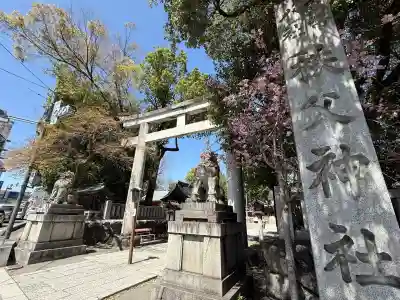 秩父神社(埼玉県)