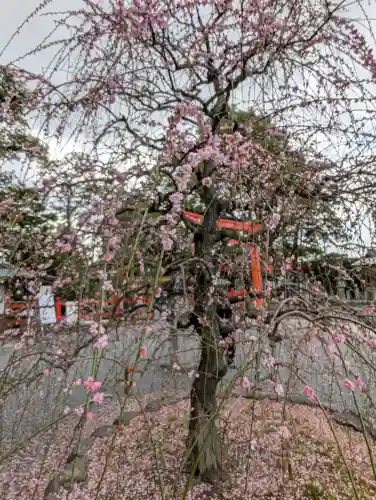 城南宮の{uncategorized: "未分類", other: "その他", undefined: "問題あり", building: "その他建物", grave: "お墓", sacred_gate: "鳥居", guardian: "狛犬", statue: "像", buddha: "仏像", history: "歴史", nature: "自然", garden: "庭園", animal: "動物", pagoda: "塔", temizu: "手水舎", mountain_gate: "山門・神門", sanctuary: "本殿・本堂", subordinate: "末社・摂社", art: "芸術", scenery: "景色", jizo: "地蔵", ema: "絵馬", goshuin: "御朱印", omikuji: "おみくじ", items: "授与品その他", amulet: "お守り", goshuincho: "御朱印帳", eats: "食事", festival: "お祭り", votive_dance: "神楽", shichigosan: "七五三参", wedding: "結婚式", experience: "体験その他", initially: "初詣", around: "周辺", anti_infection: "感染症対策"}