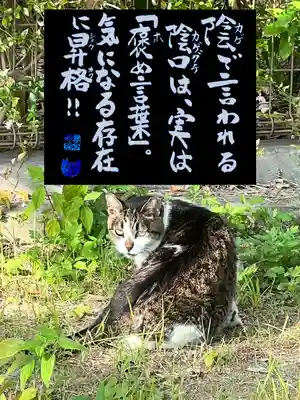 専念寺の動物