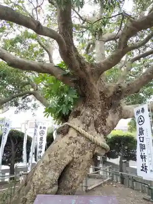 龍口明神社(神奈川県)
