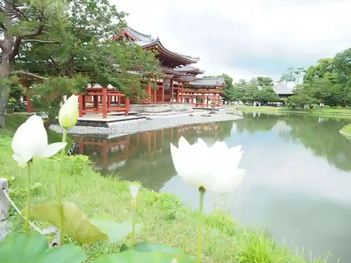 平等院のその他建物