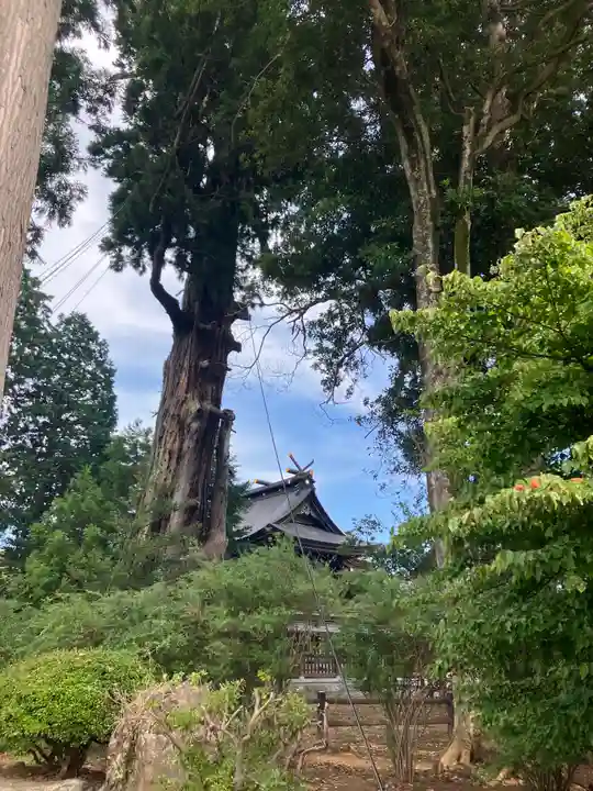 八幡宮(茨城県)