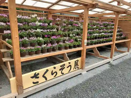 秩父神社(埼玉県)