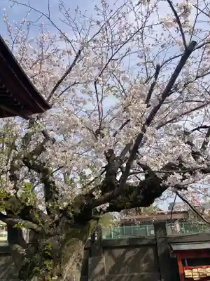 成田山深川不動堂（新勝寺東京別院）(東京都)