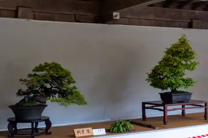 彌彦神社の自然