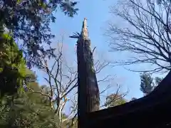 熊野神社の自然