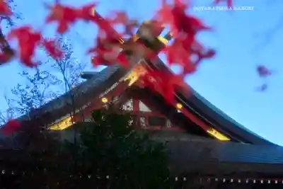 大山阿夫利神社(神奈川県)