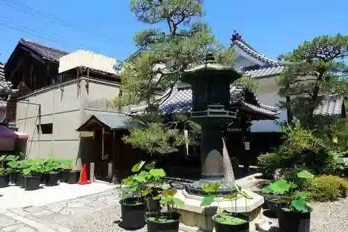 行願寺（革堂）の庭園