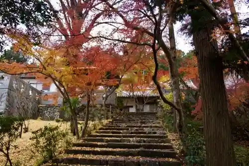 正法寺の自然