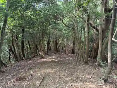 徳島眉山天神社(徳島県)