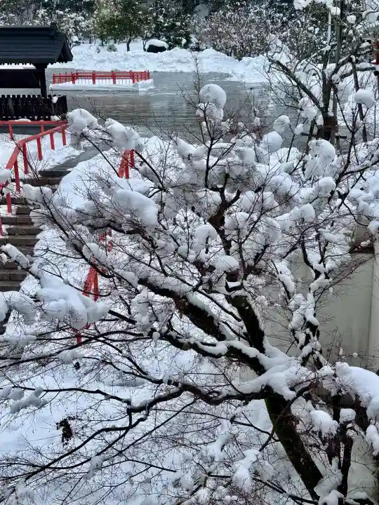 出雲大社 与謝分祠の{uncategorized: "未分類", other: "その他", undefined: "問題あり", building: "その他建物", grave: "お墓", sacred_gate: "鳥居", guardian: "狛犬", statue: "像", buddha: "仏像", history: "歴史", nature: "自然", garden: "庭園", animal: "動物", pagoda: "塔", temizu: "手水舎", mountain_gate: "山門・神門", sanctuary: "本殿・本堂", subordinate: "末社・摂社", art: "芸術", scenery: "景色", jizo: "地蔵", ema: "絵馬", goshuin: "御朱印", omikuji: "おみくじ", items: "授与品その他", amulet: "お守り", goshuincho: "御朱印帳", eats: "食事", festival: "お祭り", votive_dance: "神楽", shichigosan: "七五三参", wedding: "結婚式", experience: "体験その他", initially: "初詣", around: "周辺", anti_infection: "感染症対策"}